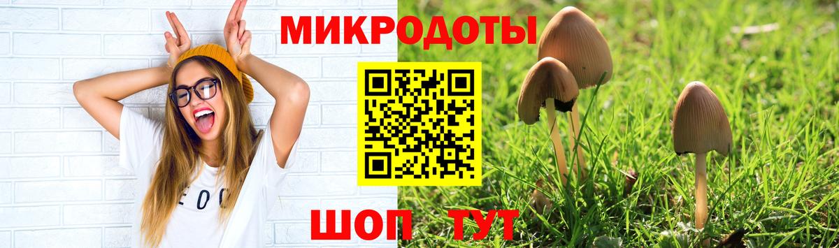 Псилоцибиновые грибы мухоморы Ханты-Мансийск